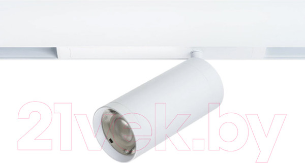 Изображение товара Трековый светильник Lightstar Teta 205036