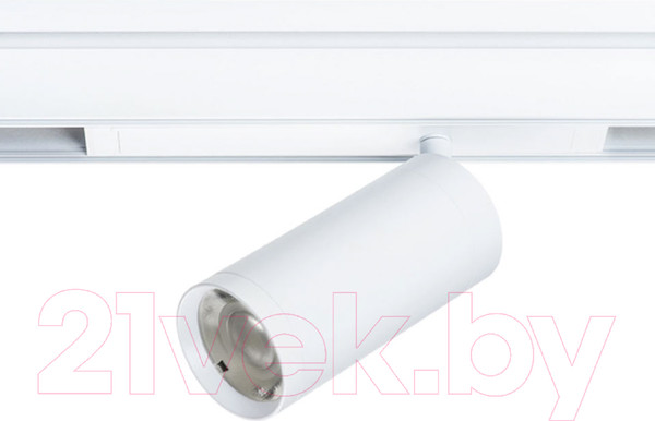 Изображение товара Трековый светильник Lightstar Teta 205036