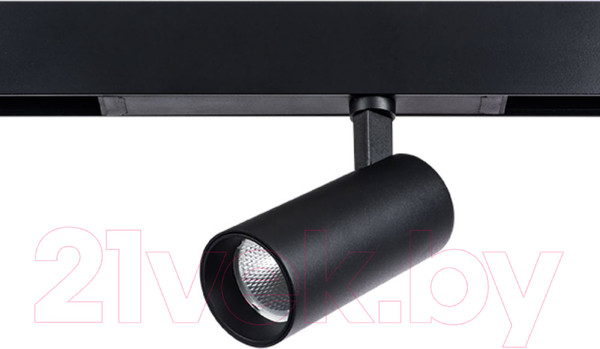 Изображение товара Трековый светильник Lightstar Teta 205037R