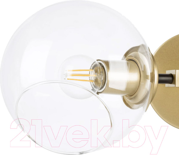 Изображение товара Бра Lightstar Beta 785623