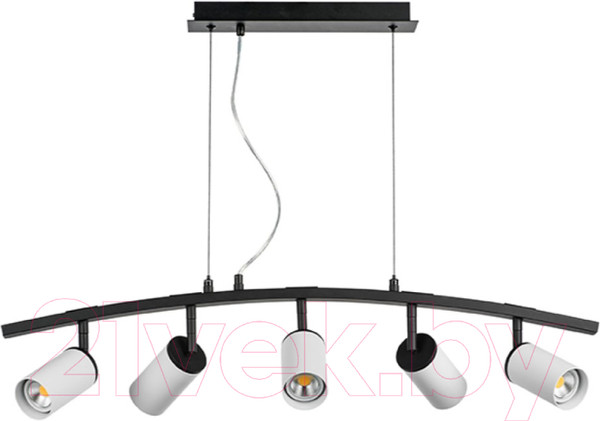 Изображение товара Люстра Lightstar Rullo LR735365