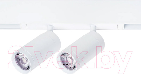 Изображение товара Трековый светильник Lightstar Teta 205506