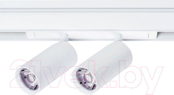 Изображение товара Трековый светильник Lightstar Teta 205506