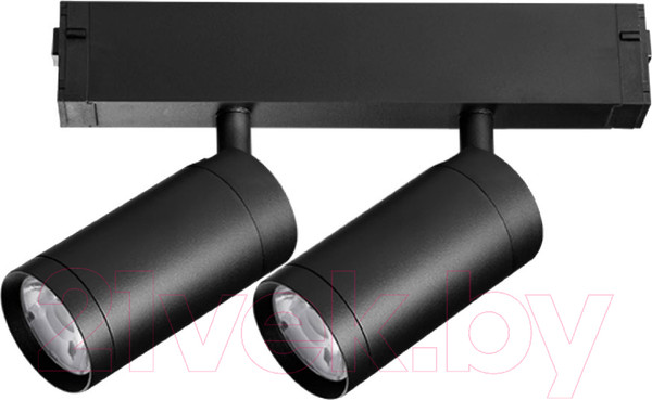 Изображение товара Трековый светильник Lightstar Teta 205507