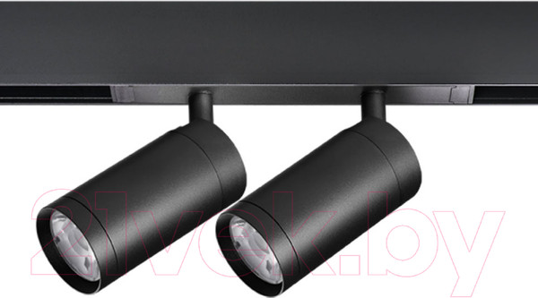 Изображение товара Трековый светильник Lightstar Teta 205507