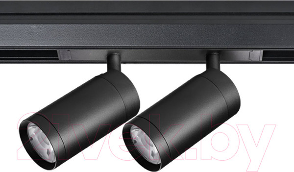 Изображение товара Трековый светильник Lightstar Teta 205507