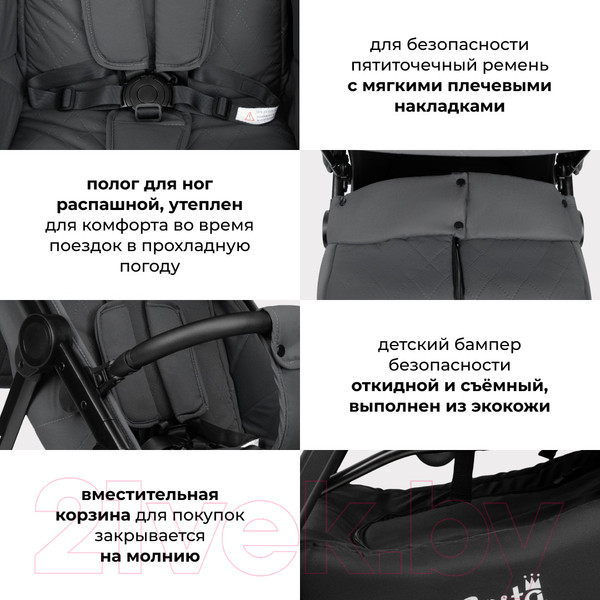 Изображение товара Детская прогулочная коляска Costa Vita / VT-6 (графит)