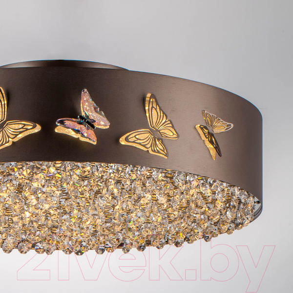 Изображение товара Потолочный светильник Lightstar Faraone 701021