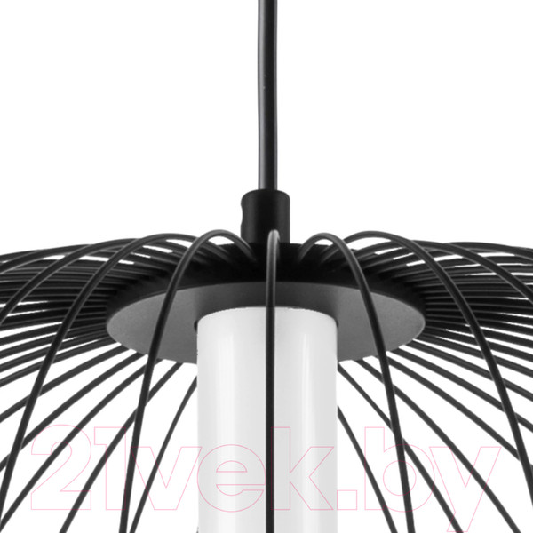 Изображение товара Потолочный светильник Lightstar Sole 734067