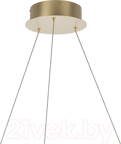 Изображение товара Потолочный светильник Lightstar Rotonda 736323