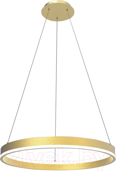 Изображение товара Потолочный светильник Lightstar Rotonda 736402