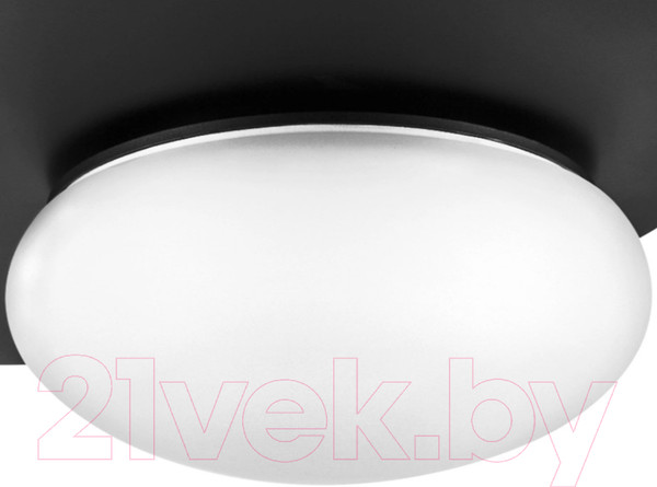 Изображение товара Потолочный светильник Lightstar Emisfero 737337