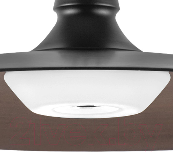 Изображение товара Потолочный светильник Lightstar Emisfero 737427