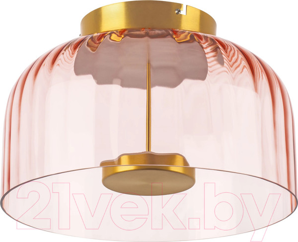 Изображение товара Потолочный светильник Lightstar Celesta 809062