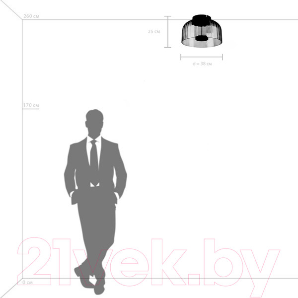 Изображение товара Потолочный светильник Lightstar Celesta 809062