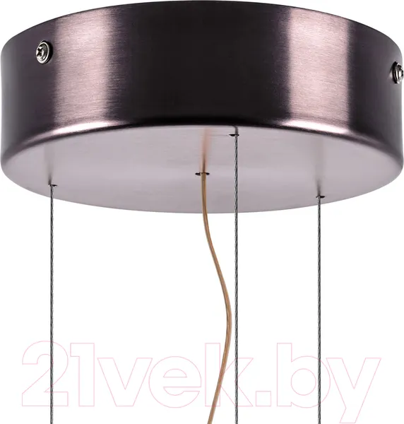 Изображение товара Потолочный светильник Lightstar Celesta 809210