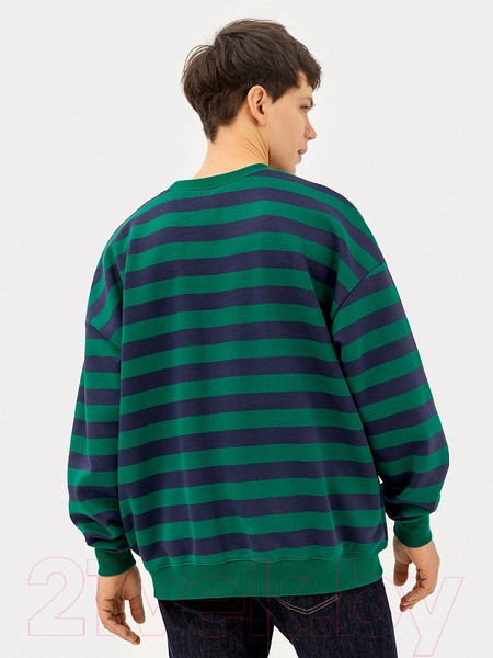Изображение товара Свитшот Mark Formelle 121866/1 (р.88-170/176, сине-зеленая полоска)