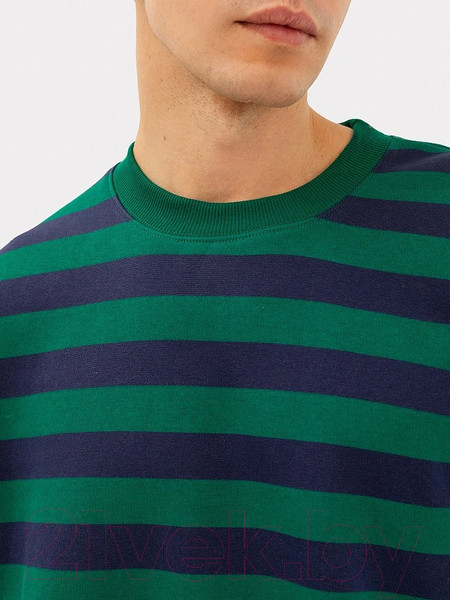 Изображение товара Свитшот Mark Formelle 121866/1 (р.104-182/188, сине-зеленая полоска)