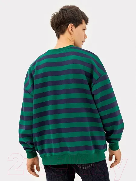 Изображение товара Свитшот Mark Formelle 121866/1 (р.116-182/188, сине-зеленая полоска)