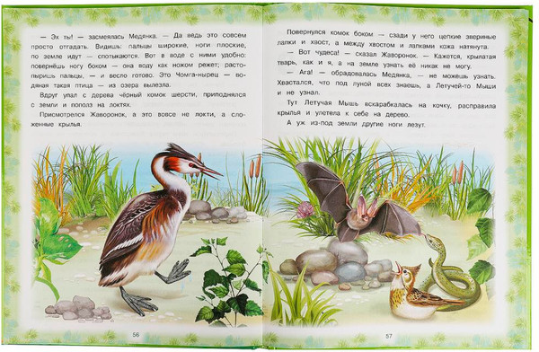 Изображение товара Художественная книга Умка Лесные сказки. Мир волшебства (Бианки Виталий, твердая обложка)