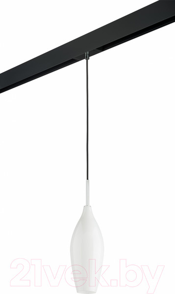 Изображение товара Трековый светильник Lightstar Pentola / PRO803020