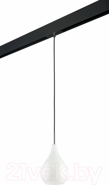 Изображение товара Трековый светильник Lightstar Pentola / PRO803030