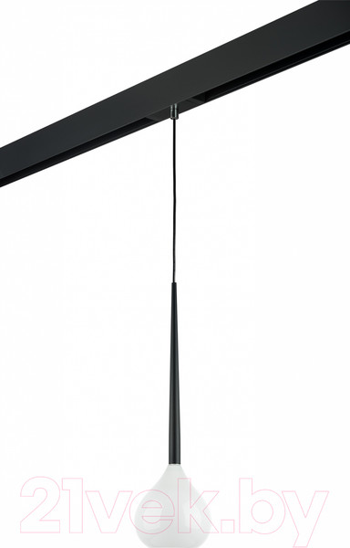 Изображение товара Трековый светильник Lightstar Forma / PRO808110