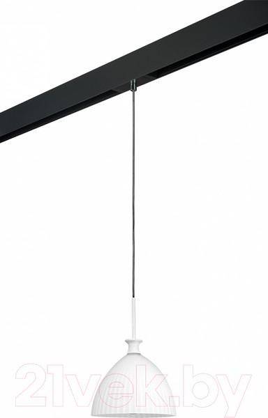 Изображение товара Трековый светильник Lightstar Agola / PRO810020