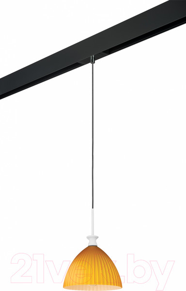 Изображение товара Трековый светильник Lightstar Agola / PRO810023