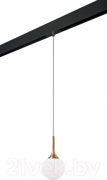 Изображение товара Трековый светильник Lightstar Globo / PRO813012