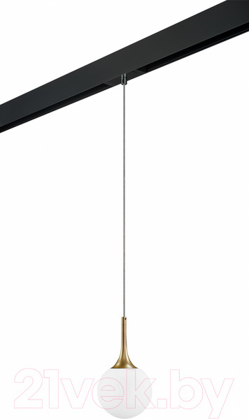 Изображение товара Трековый светильник Lightstar Globo / PRO813013