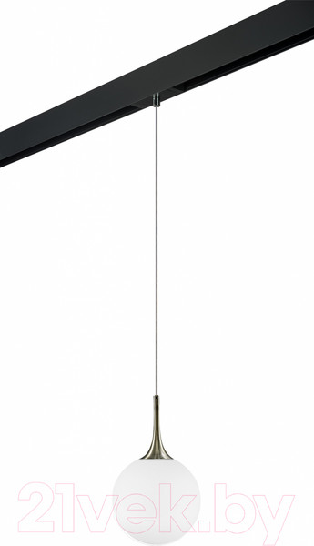 Изображение товара Трековый светильник Lightstar Globo / PRO813021