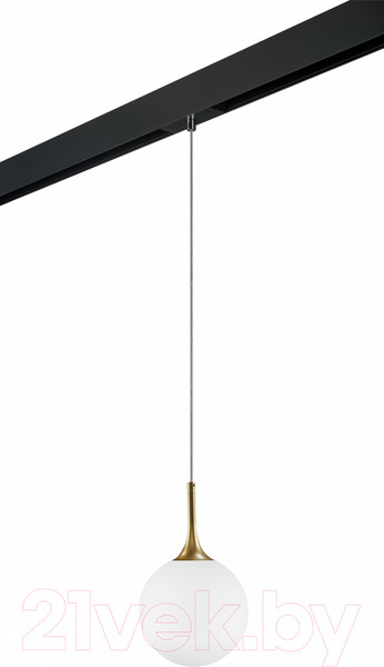 Изображение товара Трековый светильник Lightstar Globo / PRO813022