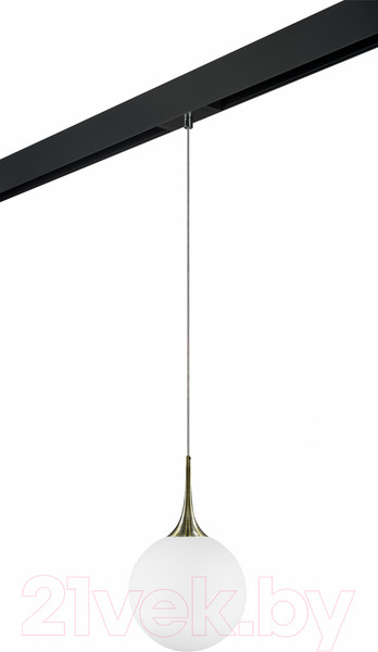 Изображение товара Трековый светильник Lightstar Globo / PRO813031