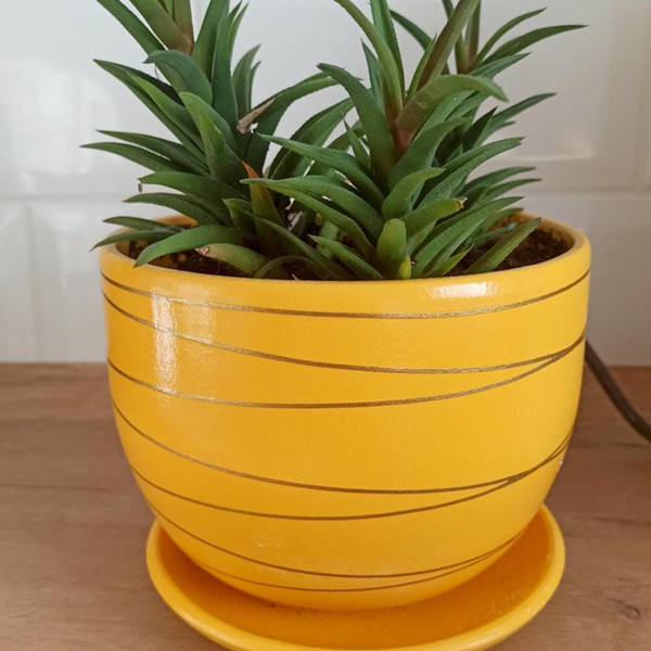 Изображение товара Вазон Вещицы BH-25-4 (желтый)