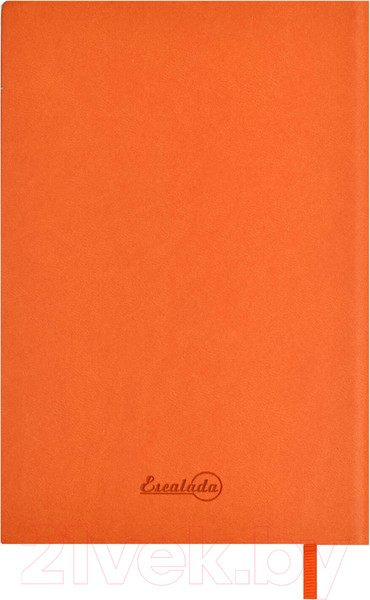 Изображение товара Записная книжка Escalada Виннер. Мысли позитивно! / 64054 (96л, оранжевый)