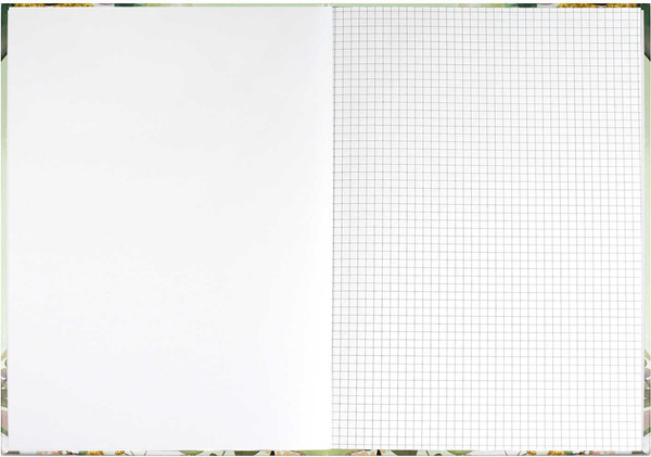 Изображение товара Тетрадь Феникс+ Зелень / 61695 (96л)