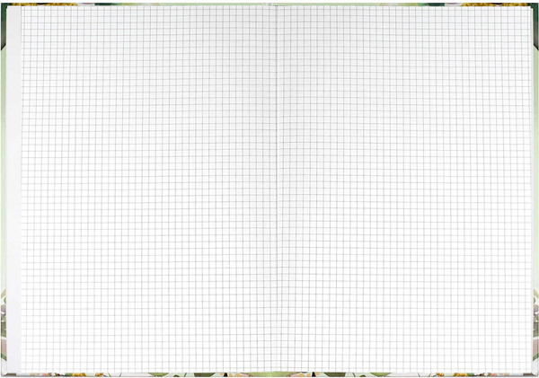 Изображение товара Тетрадь Феникс+ Зелень / 61695 (96л)