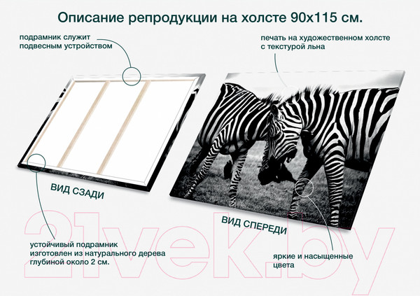 Изображение товара Картина Stamprint Две зебры AM001 (90x115см)