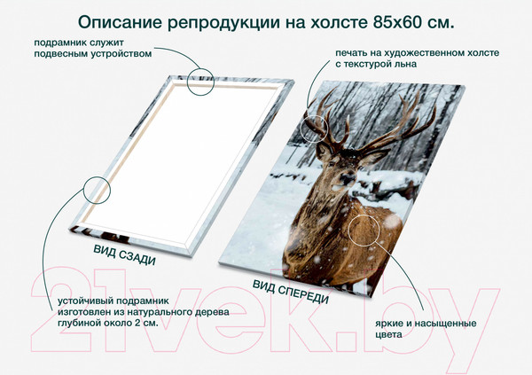 Изображение товара Картина Stamprint Зимний олень AM006 (85x60см)