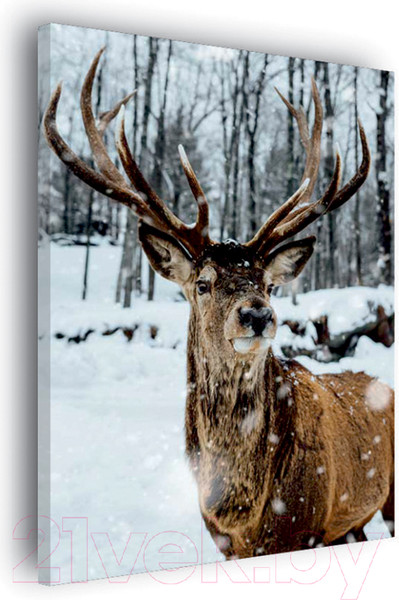 Изображение товара Картина Stamprint Зимний олень AM006 (85x60см)
