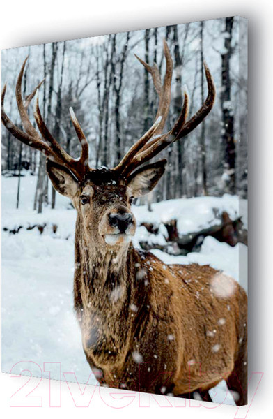 Изображение товара Картина Stamprint Зимний олень AM006 (85x60см)