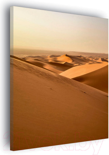 Изображение товара Картина Stamprint Пустыня NR018 (85x60см)