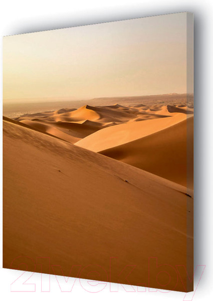 Изображение товара Картина Stamprint Пустыня NR018 (85x60см)