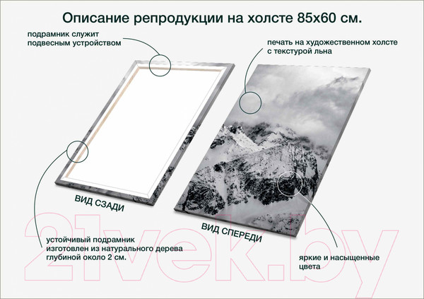 Изображение товара Картина Stamprint Зимние горы NR019 (85x60см)