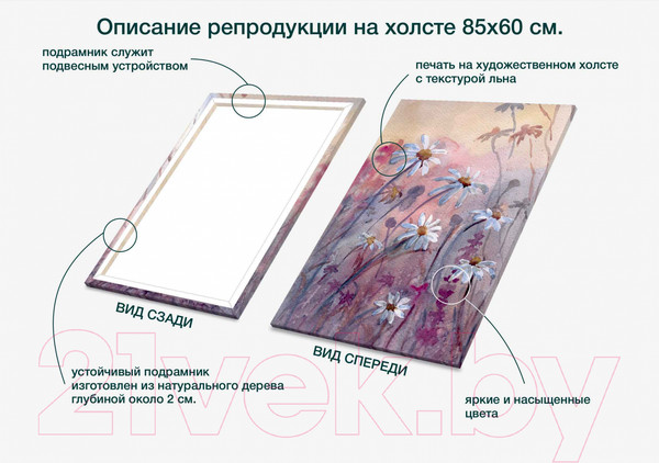 Изображение товара Картина Stamprint Ромашки АT013 (85x60см)