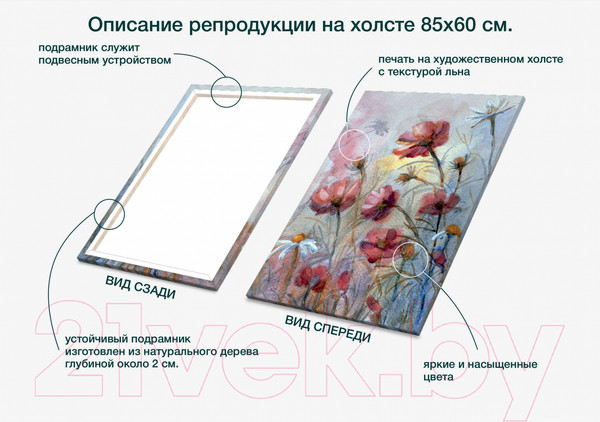 Изображение товара Картина Stamprint Мак АT024 (85x60см)