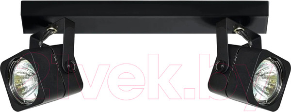 Изображение товара Спот Imex IL.0005.0100-2