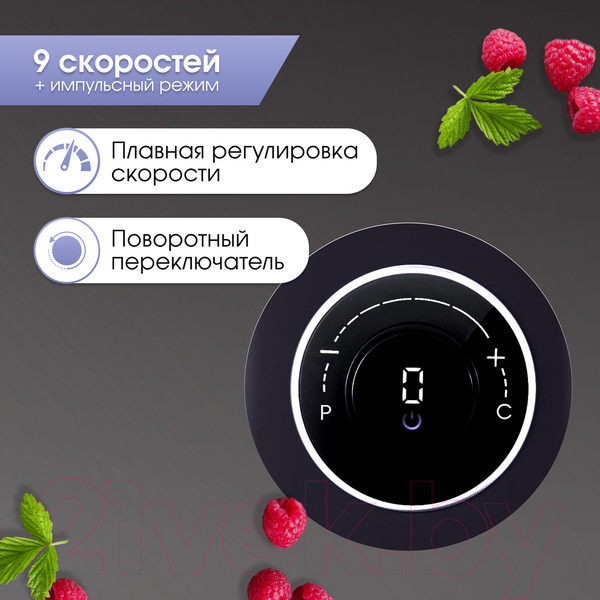 Изображение товара Блендер стационарный Zigmund & Shtain BS-446 D