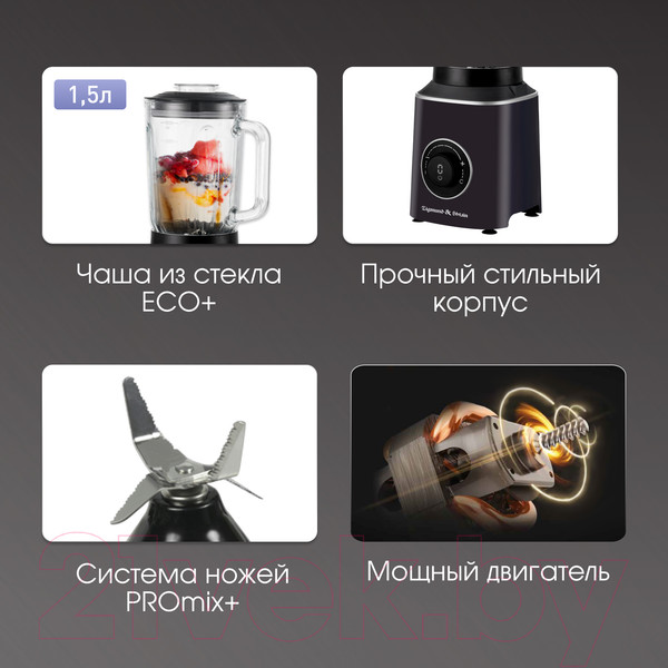 Изображение товара Блендер стационарный Zigmund & Shtain BS-446 D